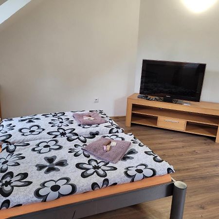 Studentska Apartments Karlovy Vary Ngoại thất bức ảnh
